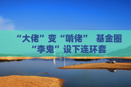 “大佬”变“啃佬”  基金圈“李鬼”设下连环套 第1张