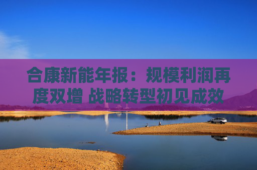 合康新能年报：规模利润再度双增 战略转型初见成效