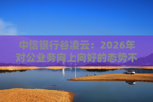 中信银行谷凌云:2026年对公业务向上向好的态势不会改变