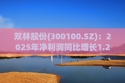 双林股份(300100.SZ)：2025年净利润同比增长1.25% 拟10股派1元