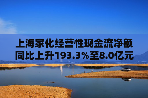 上海家化经营性现金流净额同比上升193.3%至8.0亿元