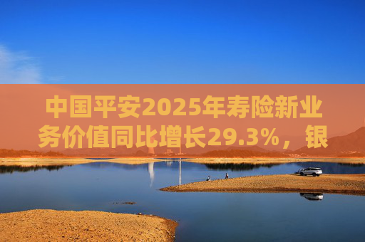 中国平安2025年寿险新业务价值同比增长29.3%，银保渠道爆发式同比138%