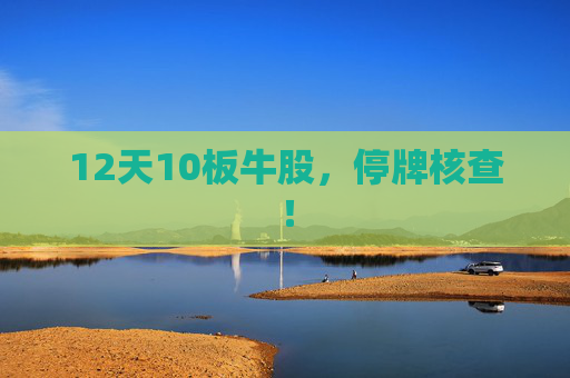 12天10板牛股，停牌核查！