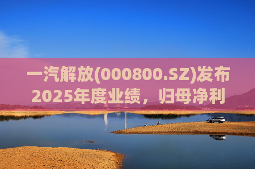 一汽解放(000800.SZ)发布2025年度业绩，归母净利润7.25亿元，增长16.41%  第1张