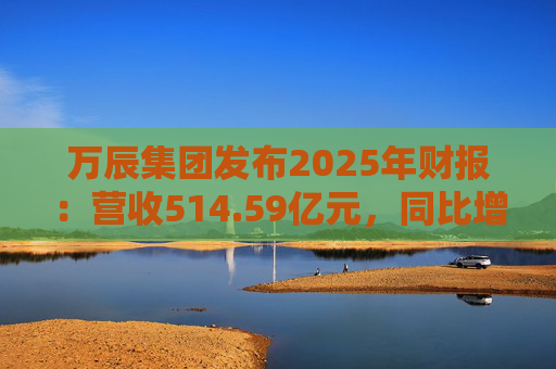 万辰集团发布2025年财报：营收514.59亿元，同比增长59.17%
