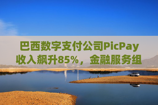 巴西数字支付公司PicPay收入飙升85%，金融服务组合持续扩大  第1张