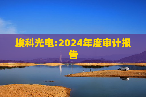 埃科光电:2024年度审计报告