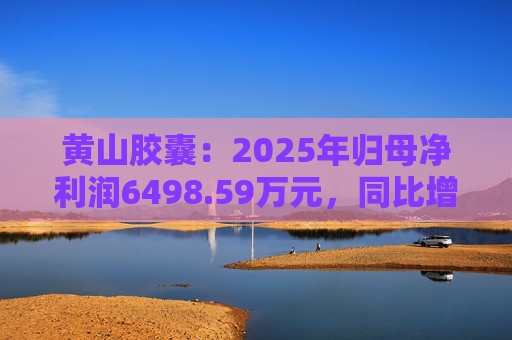 黄山胶囊：2025年归母净利润6498.59万元，同比增长31.94%