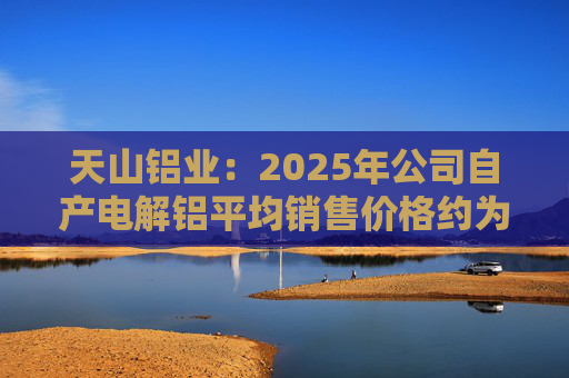 天山铝业：2025年公司自产电解铝平均销售价格约为20600元/吨  第1张