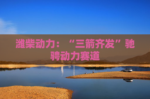 潍柴动力：“三箭齐发”驰骋动力赛道  第1张