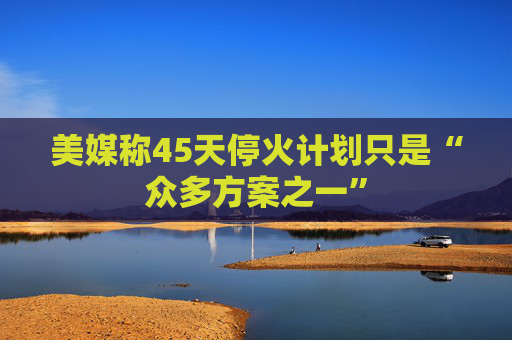 美媒称45天停火计划只是“众多方案之一”