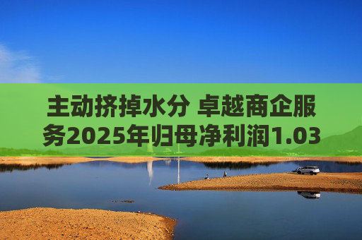 主动挤掉水分 卓越商企服务2025年归母净利润1.03亿元