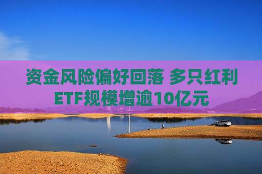 资金风险偏好回落 多只红利ETF规模增逾10亿元  第1张