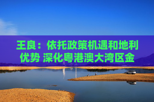 王良：依托政策机遇和地利优势 深化粤港澳大湾区金融联动