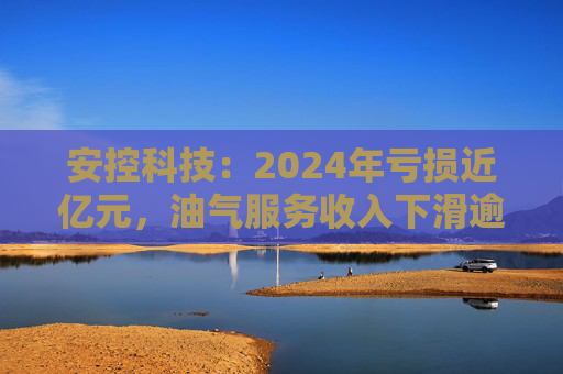 安控科技：2024年亏损近亿元，油气服务收入下滑逾两成  第1张