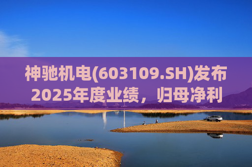 神驰机电(603109.SH)发布2025年度业绩，归母净利润1.34亿元，同比下降30.94%  第1张