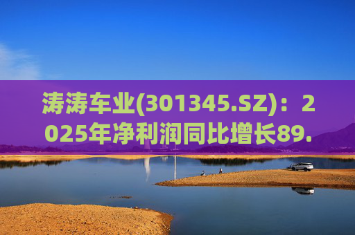 涛涛车业(301345.SZ)：2025年净利润同比增长89.29% 拟10派15元