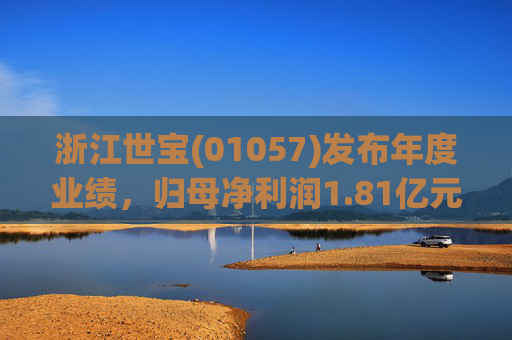 浙江世宝(01057)发布年度业绩，归母净利润1.81亿元 同比增加21.05%