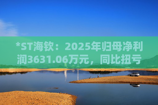 *ST海钦：2025年归母净利润3631.06万元，同比扭亏为盈