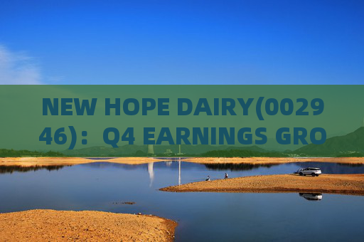 NEW HOPE DAIRY(002946):Q4 EARNINGS GROWTH ACCELERATES WITH LOW-TEMPERATURE PRODUCTS CONTINUING TO EXCEL 第1张 NEW HOPE DAIRY(002946):Q4 EARNINGS GROWTH ACCELERATES WITH LOW-TEMPERATURE PRODUCTS CONTINUING TO EXCEL 第1张