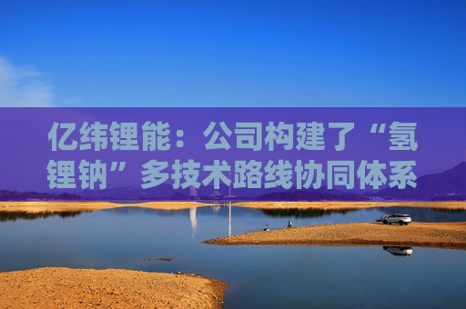 亿纬锂能：公司构建了“氢锂钠”多技术路线协同体系