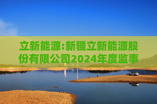 立新能源:新疆立新能源股份有限公司2024年度监事会工作报告