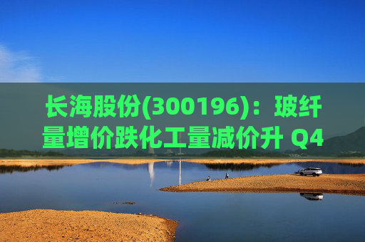 长海股份(300196)：玻纤量增价跌化工量减价升 Q4业绩同比显著修复