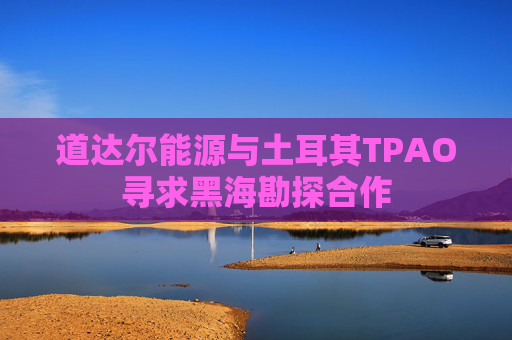 道达尔能源与土耳其TPAO寻求黑海勘探合作