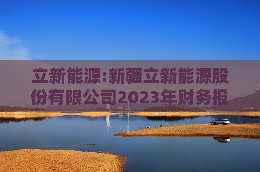 立新能源:新疆立新能源股份有限公司2023年财务报表审计报告书