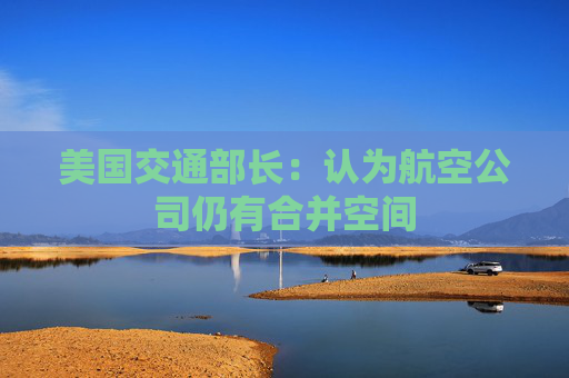 美国交通部长：认为航空公司仍有合并空间