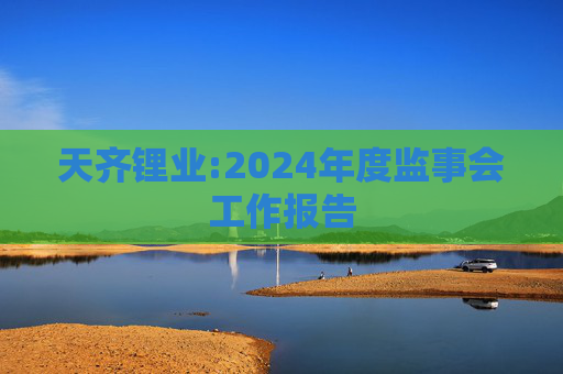 天齐锂业:2024年度监事会工作报告