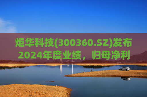 炬华科技(300360.SZ)发布2024年度业绩，归母净利润6.65亿元，同比增长9.45%  第1张