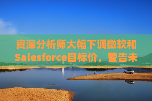资深分析师大幅下调微软和Salesforce目标价，警告未来一年将"艰难"
