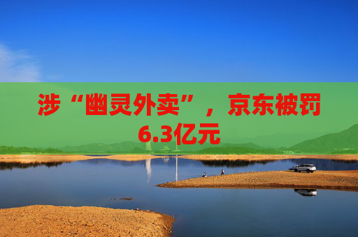 涉“幽灵外卖”，京东被罚6.3亿元