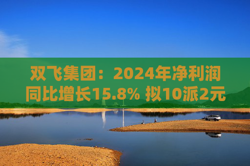双飞集团：2024年净利润同比增长15.8% 拟10派2元