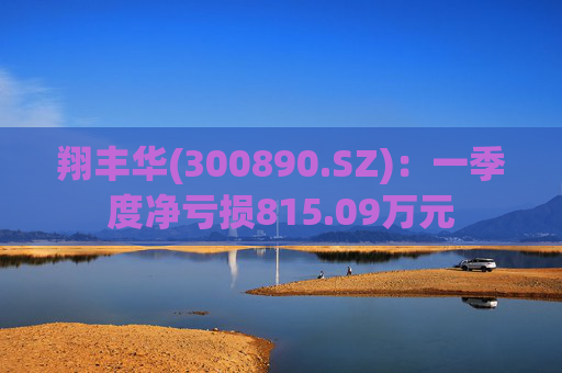 翔丰华(300890.SZ)：一季度净亏损815.09万元