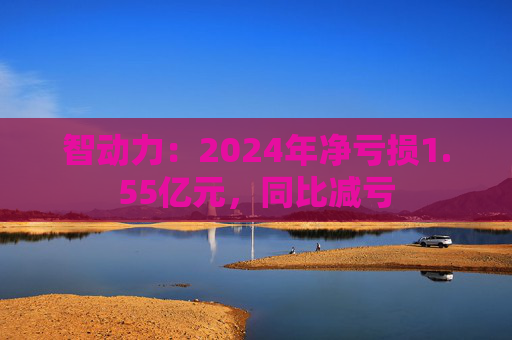 智动力：2024年净亏损1.55亿元，同比减亏  第1张