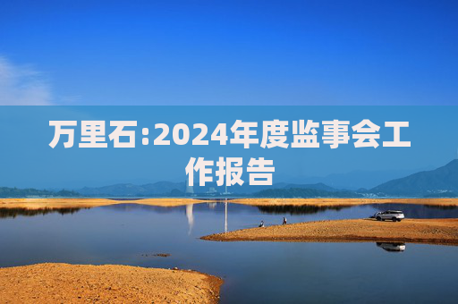 万里石:2024年度监事会工作报告