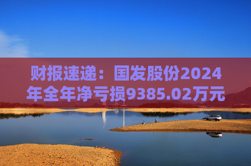 财报速递：国发股份2024年全年净亏损9385.02万元