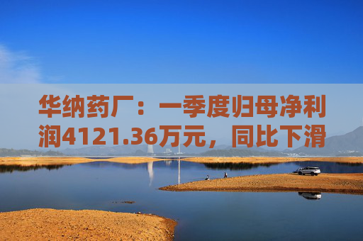 华纳药厂：一季度归母净利润4121.36万元，同比下滑31.37%