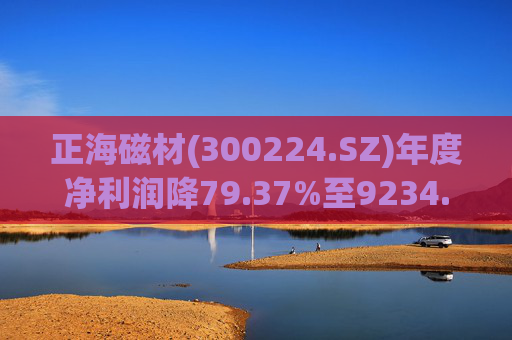 正海磁材(300224.SZ)年度净利润降79.37%至9234.02万元  高性能钕铁硼永磁材料销量实现连续七年增长
