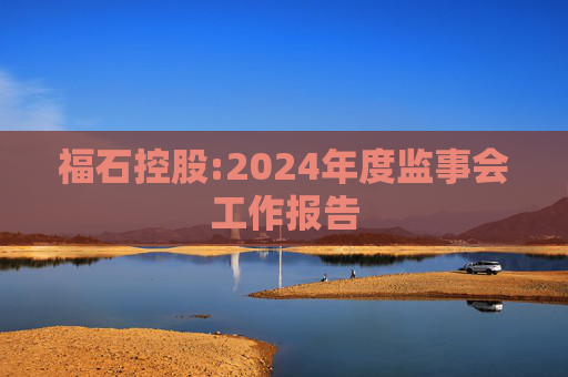 福石控股:2024年度监事会工作报告