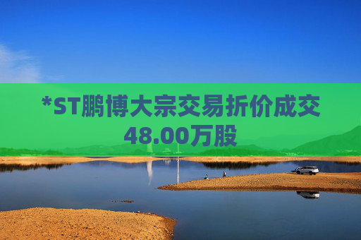 *ST鹏博大宗交易折价成交48.00万股