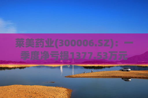 莱美药业(300006.SZ):一季度净亏损1377.53万元