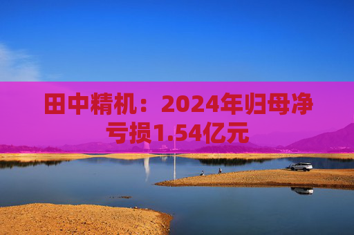 田中精机:2024年归母净亏损1.54亿元
