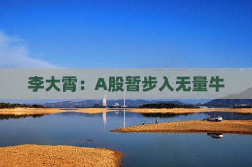 李大霄:A股暂步入无量牛