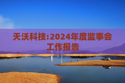 天沃科技:2024年度监事会工作报告