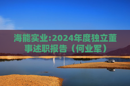 海能实业:2024年度独立董事述职报告（何业军）