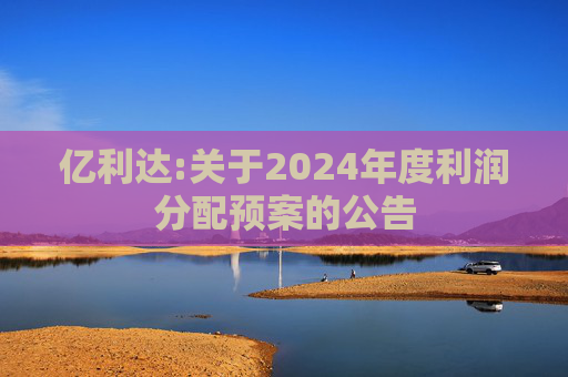 亿利达:关于2024年度利润分配预案的公告