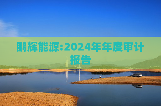 鹏辉能源:2024年年度审计报告